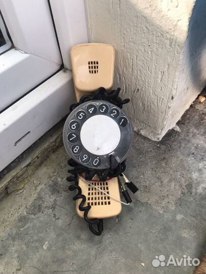 Трубка прозвоночная