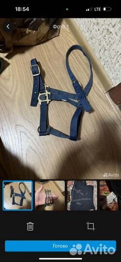 Вальтрап для лошади