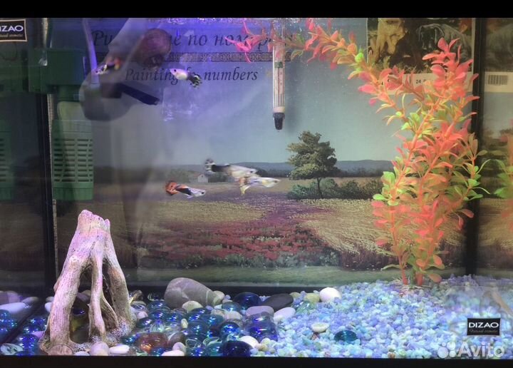 Аквариум 30 л с рыбками