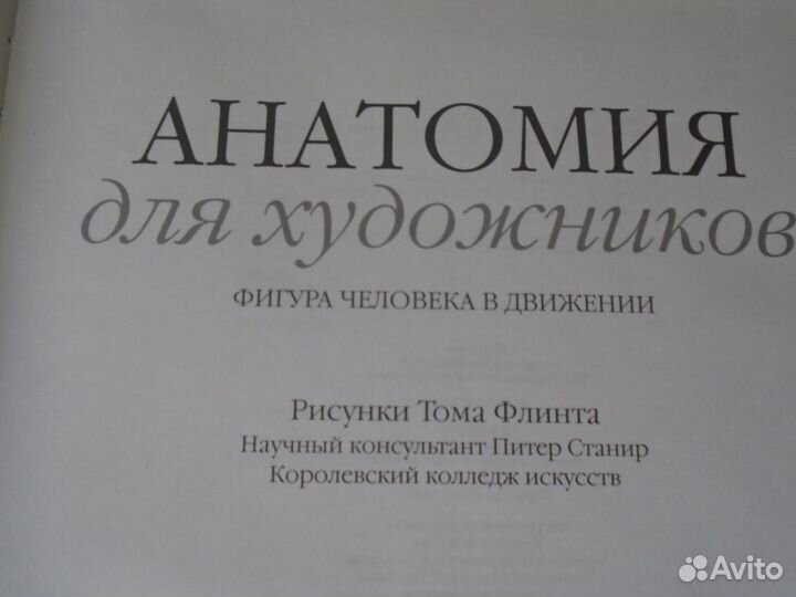 Анатомия для художников