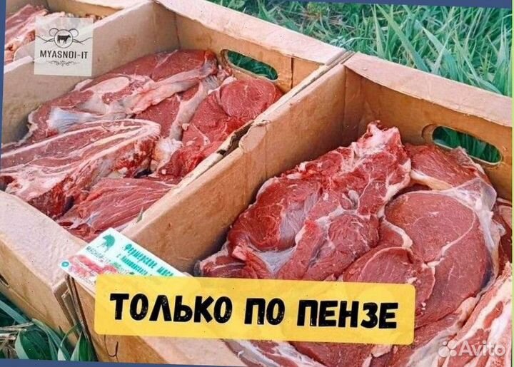 Мясо телятины