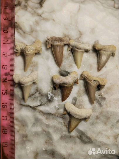 Камни и минералы