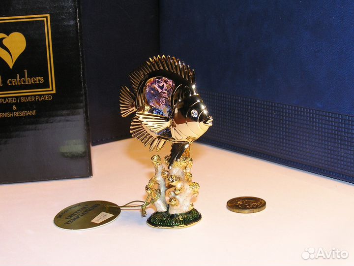 Рыбка на коралле