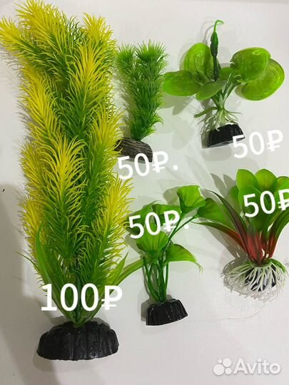 Для аквариума