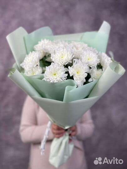 Букет Цветы Хризантемы