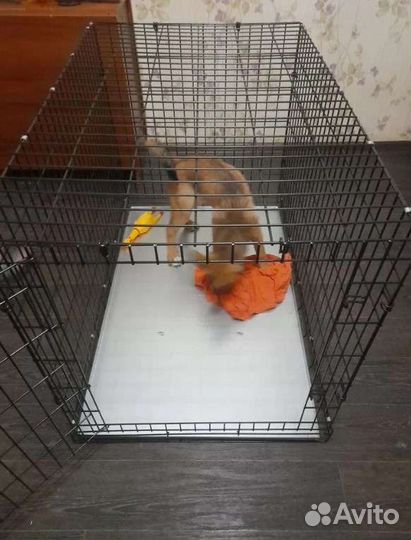 Клетка вольер для собак новая