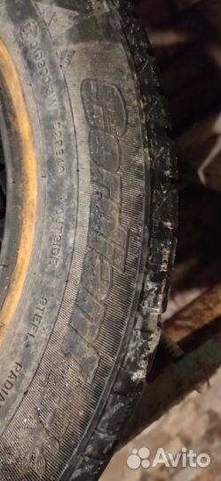 Dunlop Winter Maxx 195/60 R15