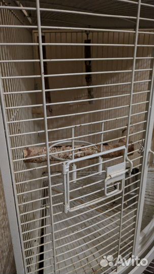 Клетка для крупного попугая Kredo A13