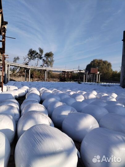 Дробина ферментированная