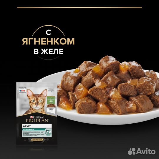Пауч для кошек Pro Plan Adult в желе с ягненком