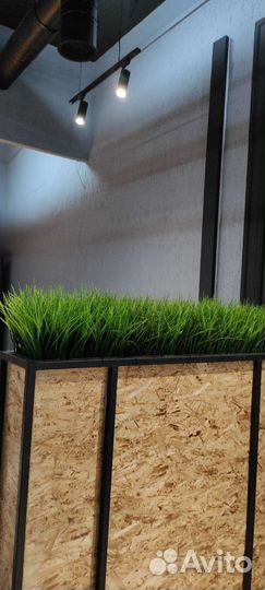 Зелень в горшочках, кашпо, ящиках