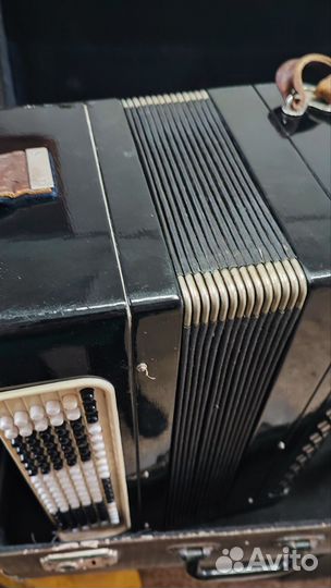 Баян тульский