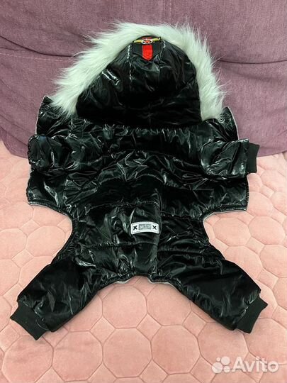 Одежда для собак