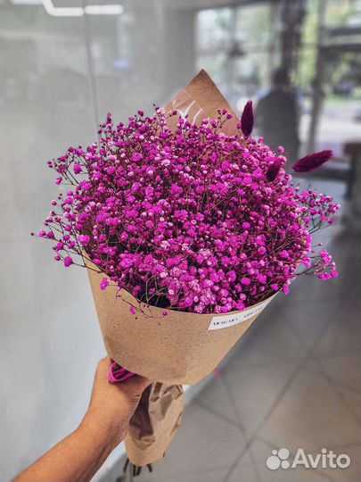 Гипсофила радужная