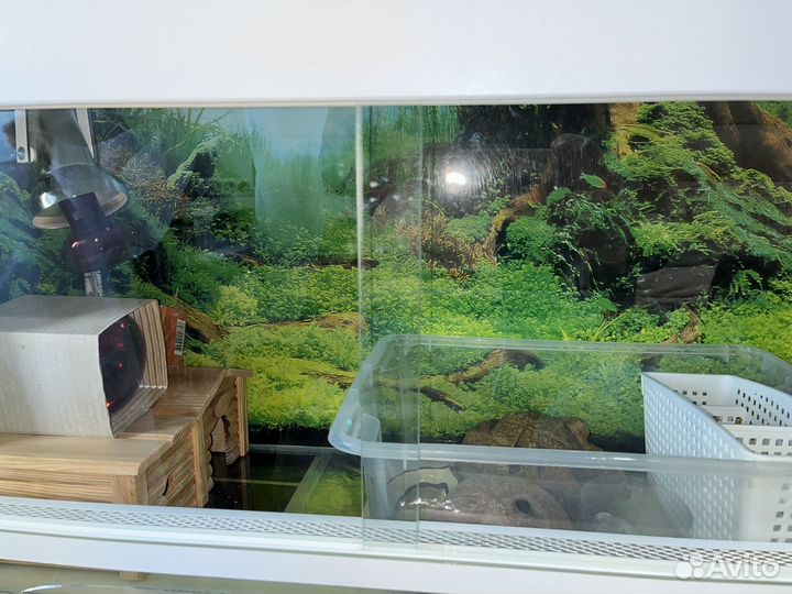 Террариум для рептилий бу