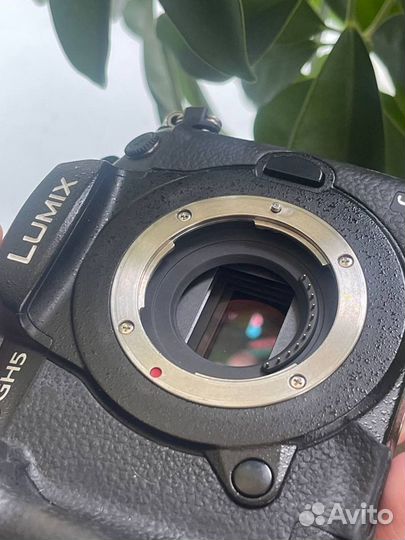 Panasonic Lumix GH5 + Panasonic Lumix 25mm f/1.7 G