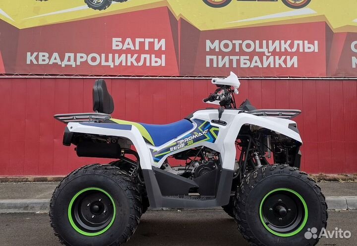 Квадроцикл promax renegade 300 LUX в наличии