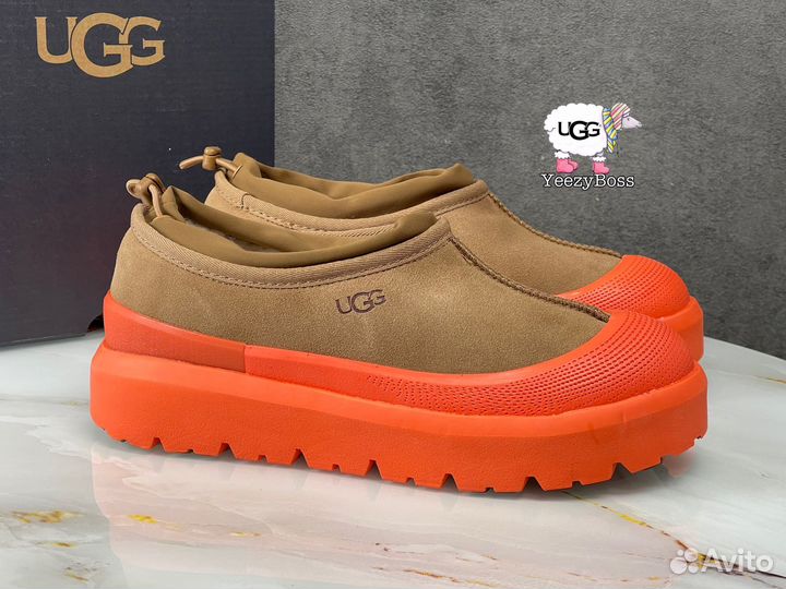 Кроссовки зимние женские Ugg Tasman Hybrid