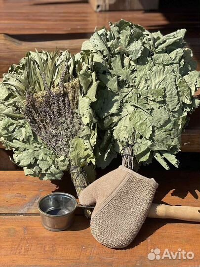 Дубовые веники для бани из Кавказского дуба