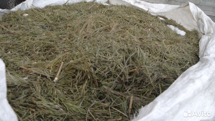 Хвойный опад для голубики.клубники