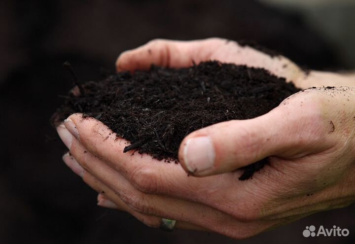 Чернозем с доставкой