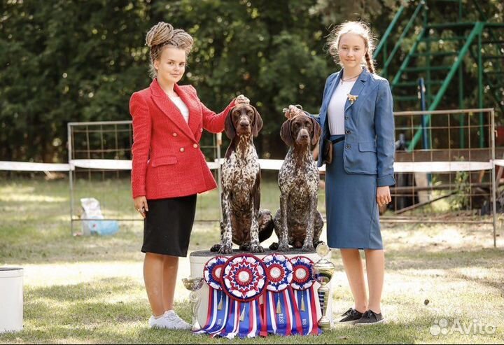 Услуги хендлера