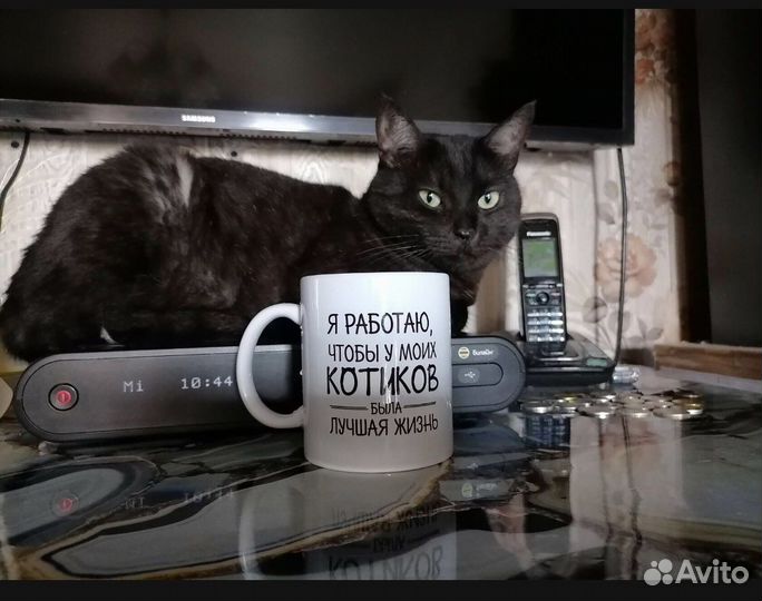 Передержка животных