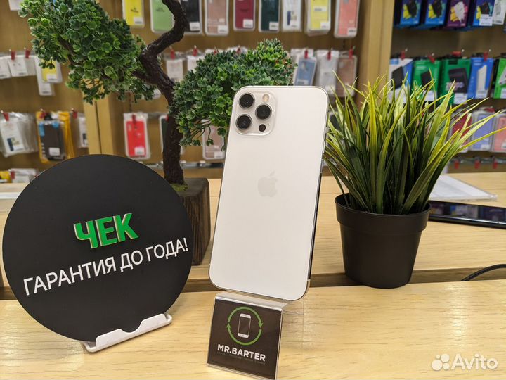 iPhone 12 Pro Max, 256 ГБ