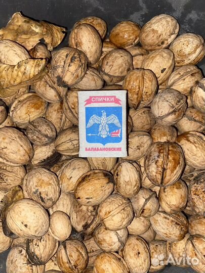 Орех грецкий