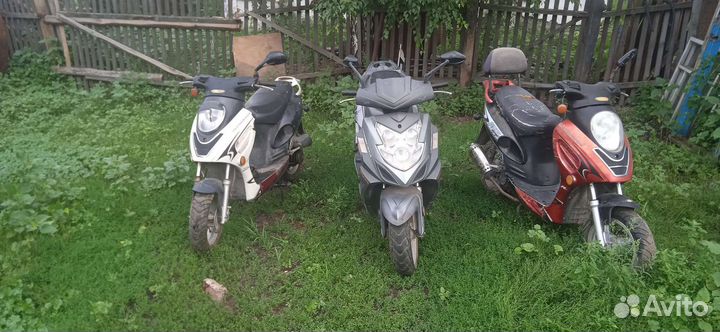 Рейсер сагита