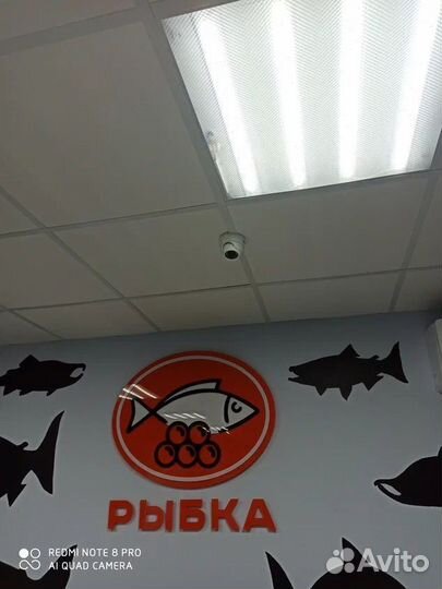 Интернет оборудование в дом / для бизнеса