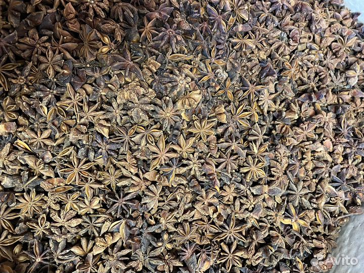 Бадьян звездочки (анис)
