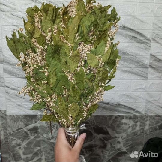 Веники для бани