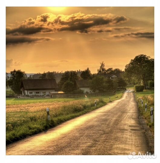 Картины по номерам