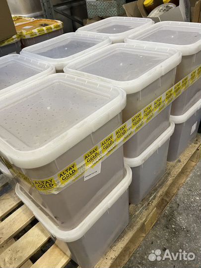 Липовый Мёд оптом