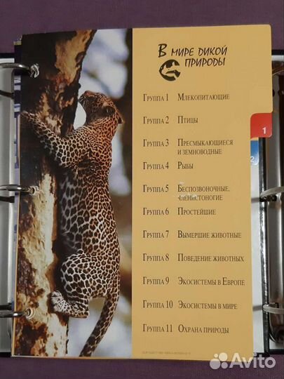 В мире дикой природы. Энциклопедия