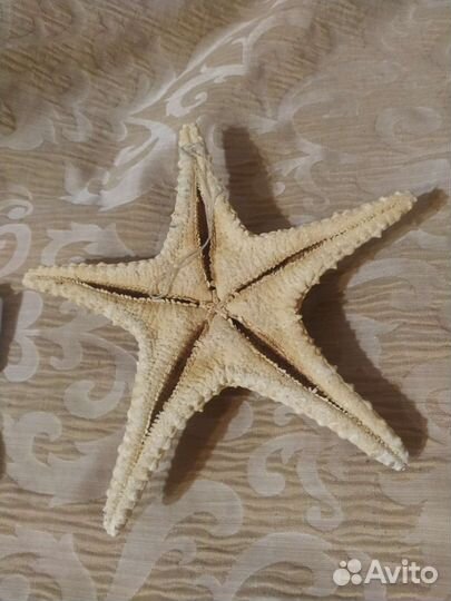 Сувениры.фляга,вазочки, статуэтки, и проч