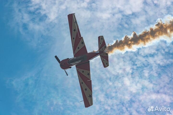 Nikon AF-S Nikkor 300 mm f/ 4 D IF-ED