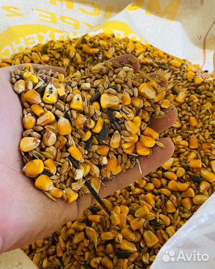 Корма для сельхоз животных (зерносмеси) опт/розниц