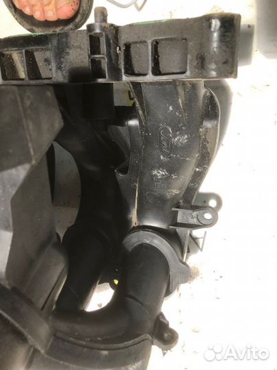 Коллектор впускной Ford Focus 2 sida 1.6 2008