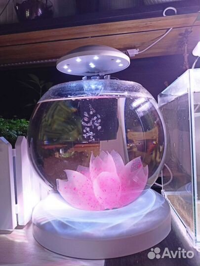 Аквариум Tetra Globe 6,8л белые