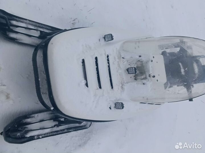 Рысь 440