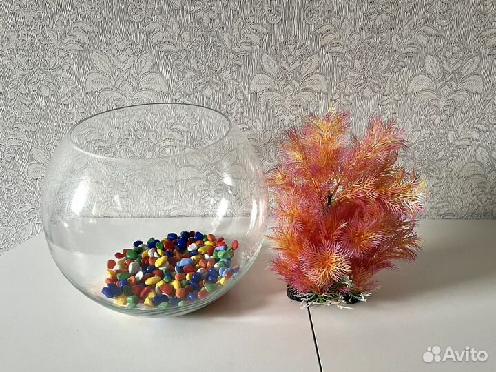 Аквариум круглый