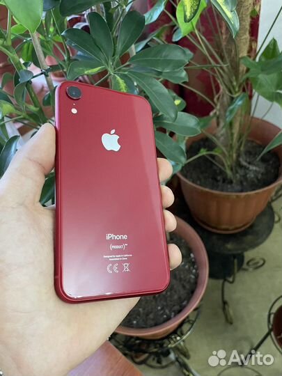iPhone Xr, 64 ГБ