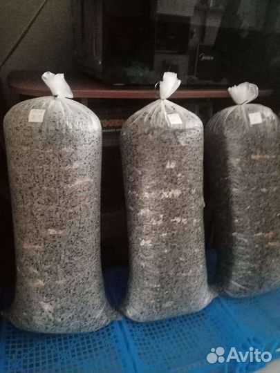 Готовые блоки Вешенки