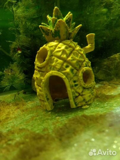 Украшение для аквариума