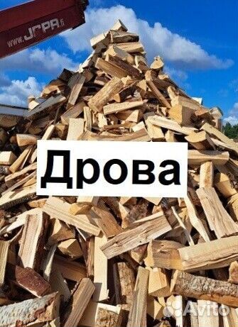 Дрова берёза