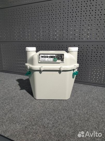 Счётчик газа сгмн-1G6