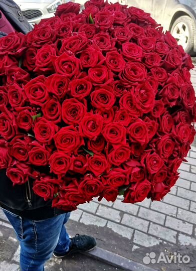 Розы опт