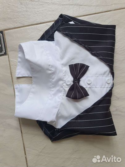 Новый костюм для собак